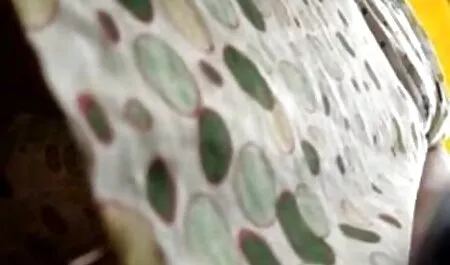 ちなみに私は仕事から夫に会いました 無料 エロ 動画 女 向け