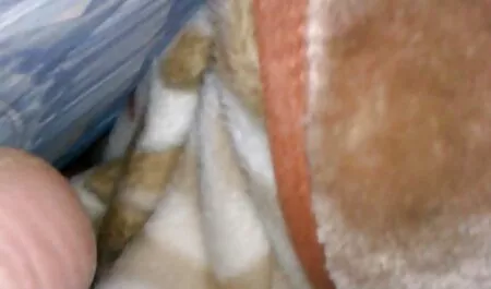 大きなハゲの男は、大きなコックで小さな犬を奪う 女性 向け 潮吹き 動画