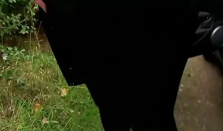 ヤギと遊んで毛むくじゃらの男。 女性 向け 動画 アダルト